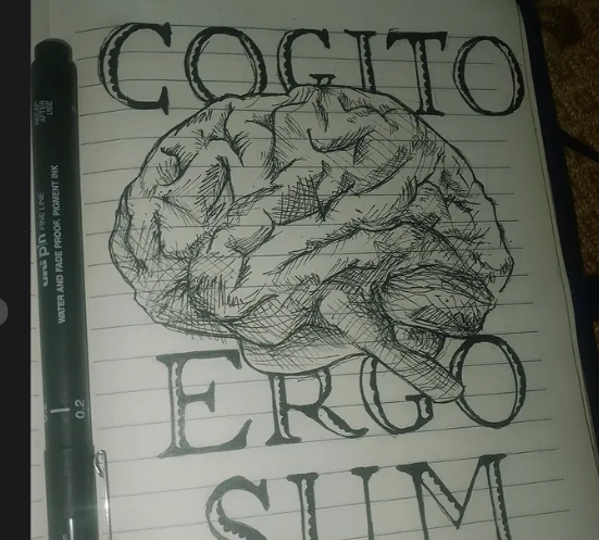 Cogito Ergo Sum — ink drawing of a brain with Latin text