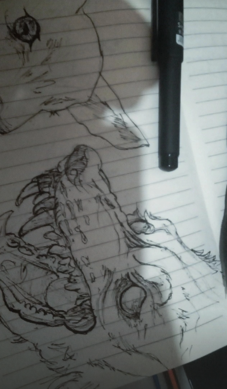 Crocodile jaw — ink drawing of a reptile skull with teeth